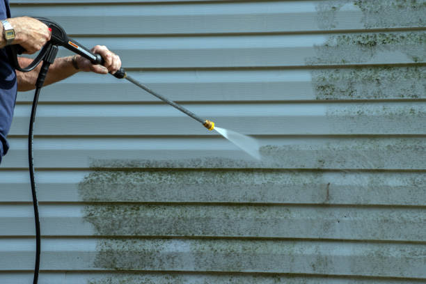 Best Fence Cleaning  in Kurtistown, HI