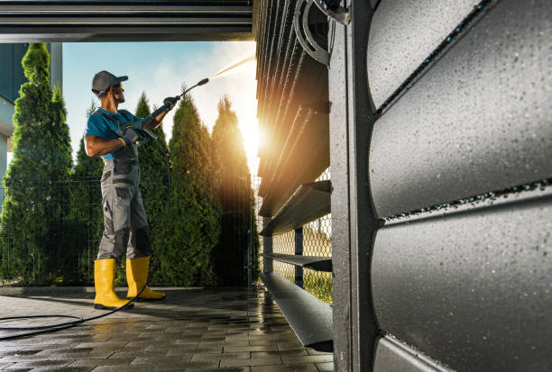 Best Animal Enclosure Cleaning  in Kurtistown, HI